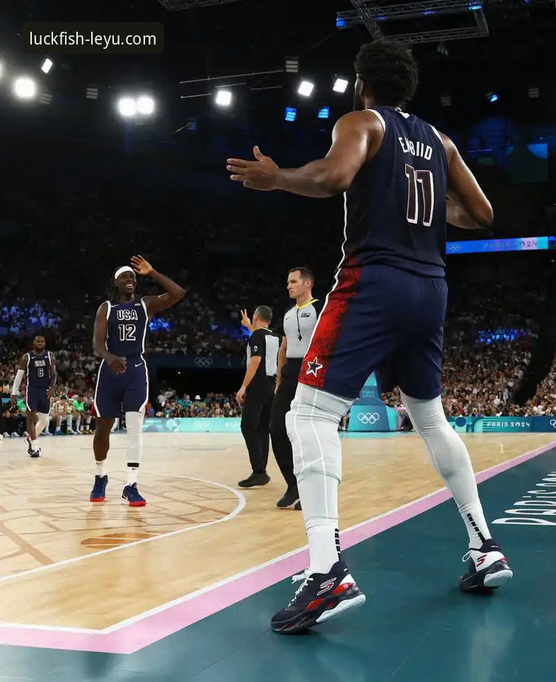 乐鱼体育官方平台 vs. 传统体育资讯App：新手如何选择与上手全攻略