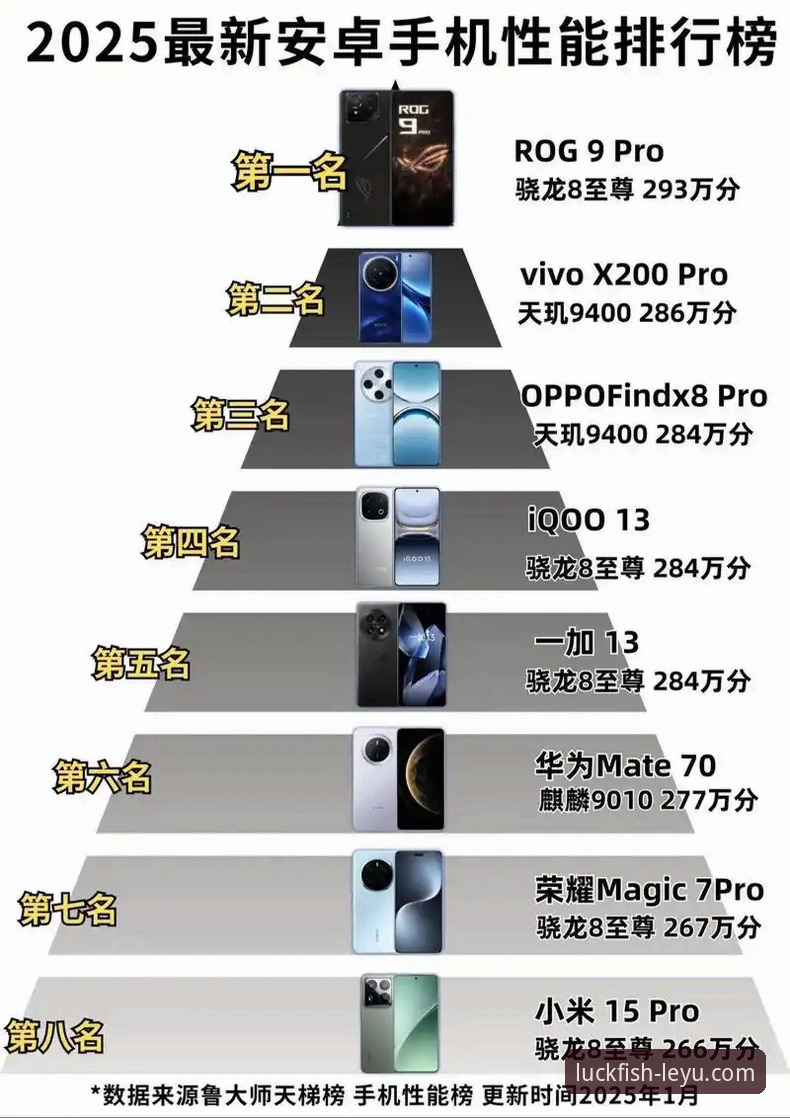 乐鱼体育安卓版 vs. 网页版：2025新版全面对比，哪个才是你的最佳选择？